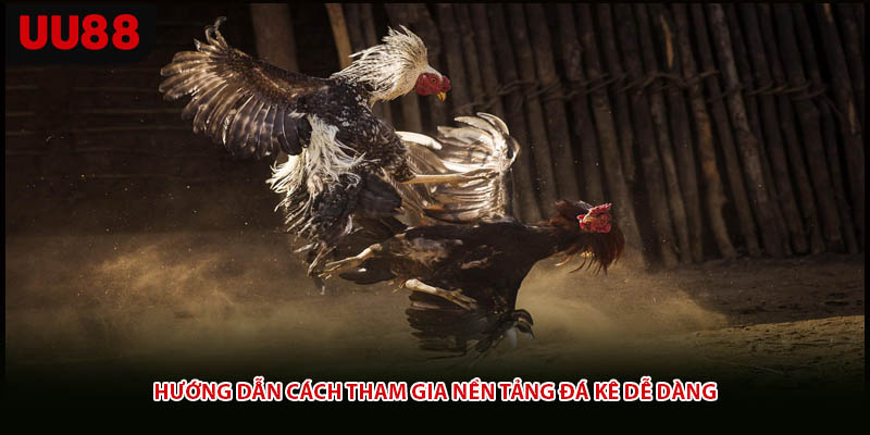 Hướng dẫn cách tham gia nền tảng đá kê dễ dàng