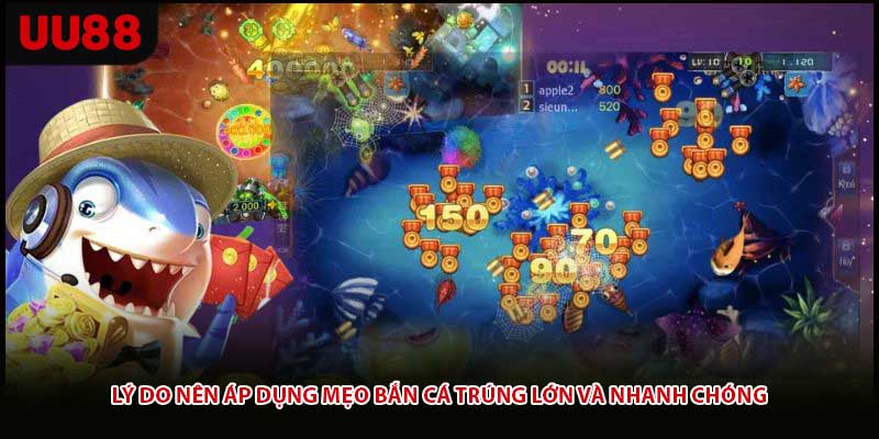 Lý do nên áp dụng mẹo bắn cá trúng lớn và nhanh chóng