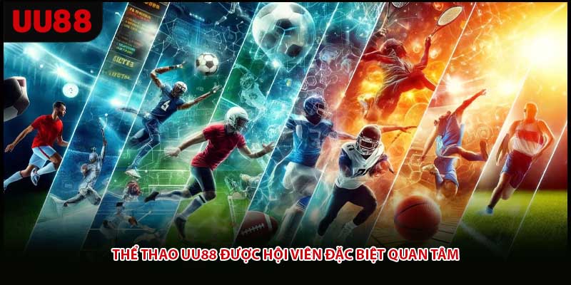 Thể thao UU88 được hội viên đặc biệt quan tâm